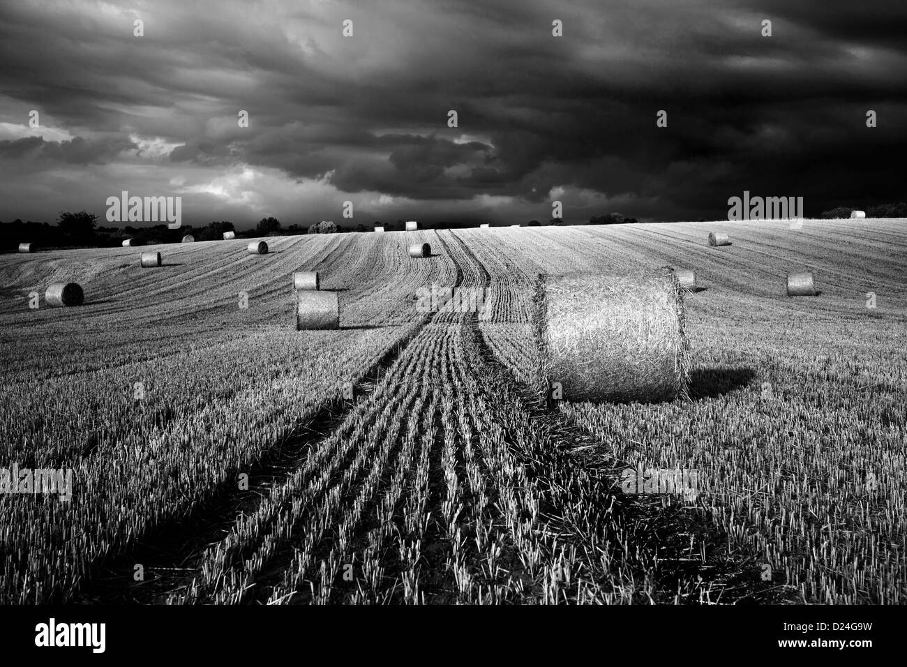 Bales in a field in Oxfordshire Stock Photo