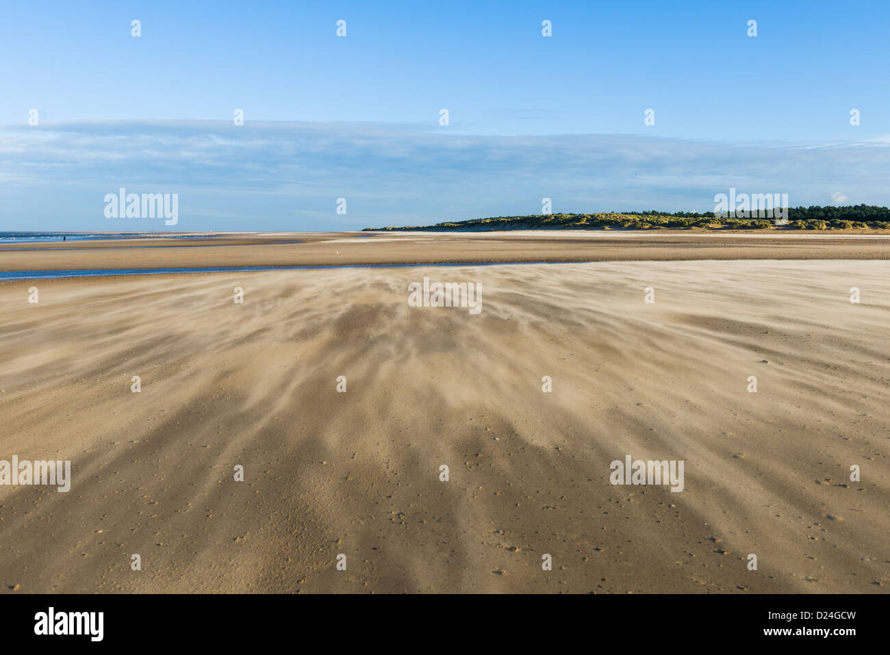 Windblown sand causing patterning, Holkham Bay, Norfolk, England Stock Photo
