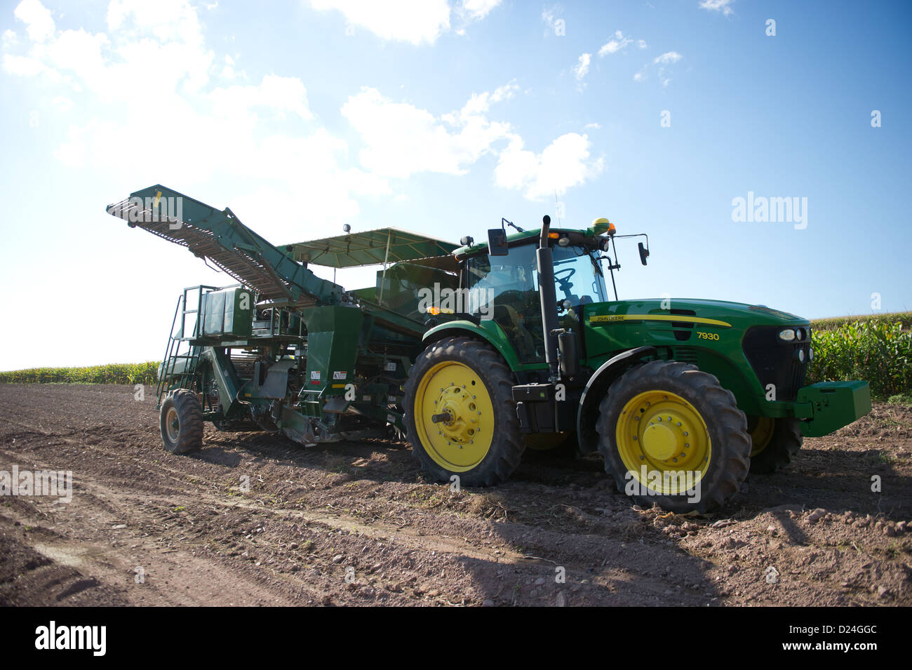 Tractor on a potato farm Stock Photo