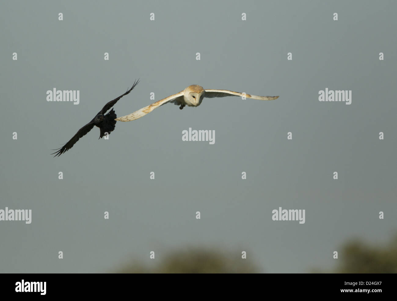 Horrorfind - Baltimore, August 2004 - John Everson ~ Dark Arts, image size:1300x985