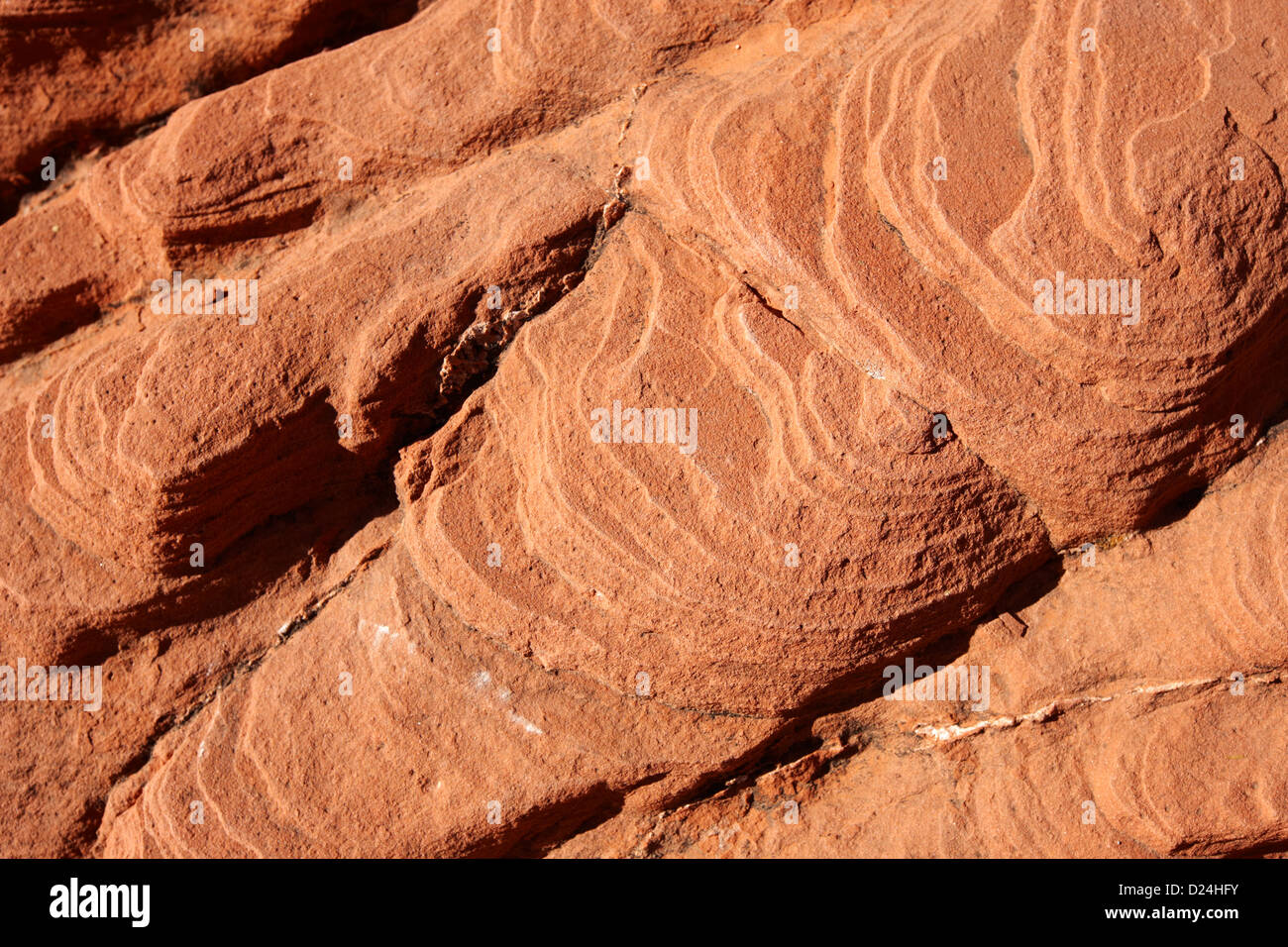 lines of weathered layers or beds in sandstone rock valley of fire state park nevada usa Stock Photo