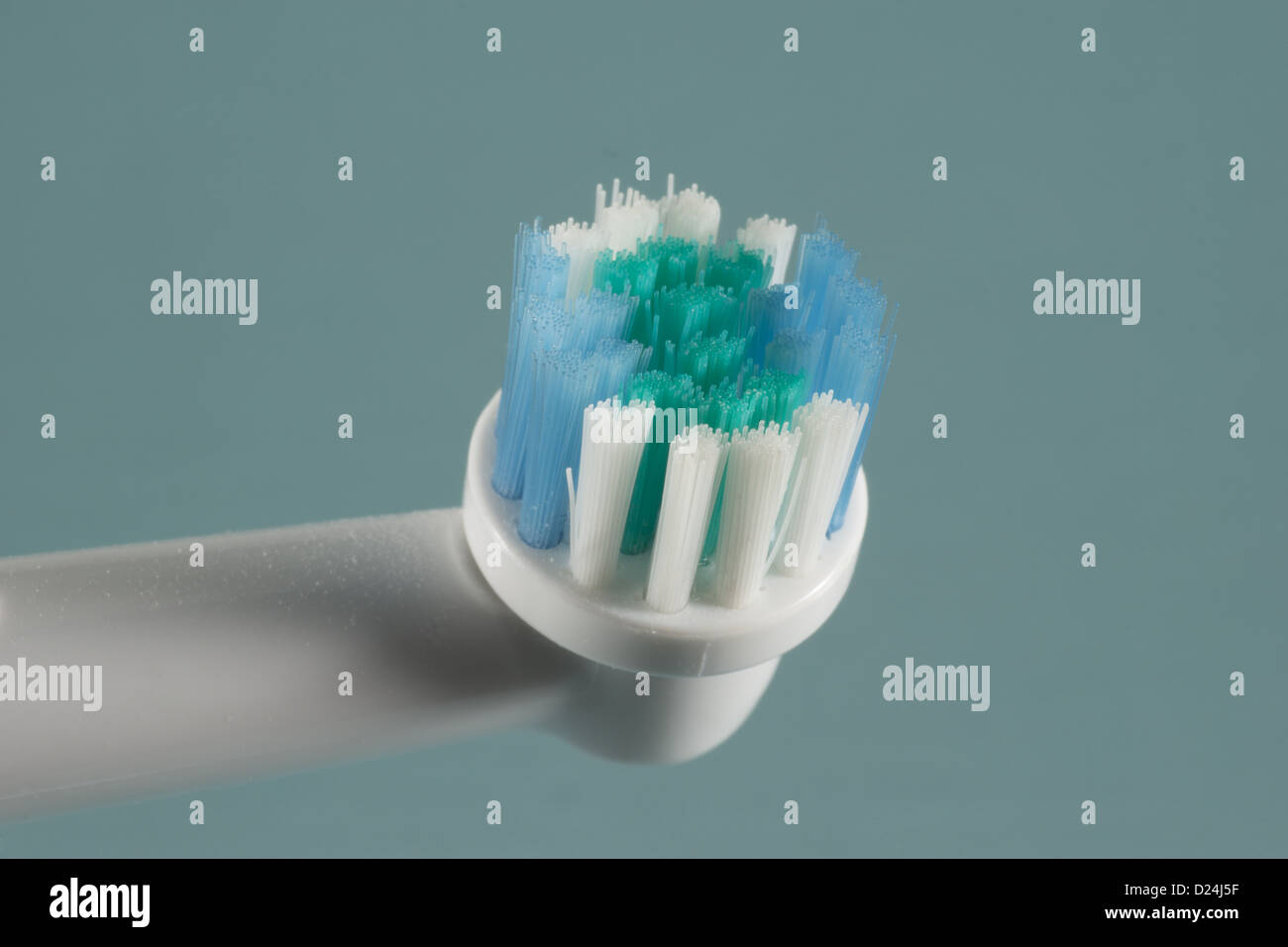 Head of a battery operated toothbrush Stock Photo Alamy