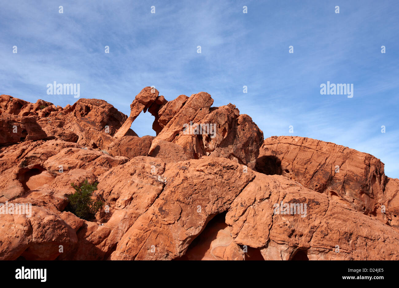 elephant rock sandstone rock formation valley of fire state park nevada usa Stock Photo