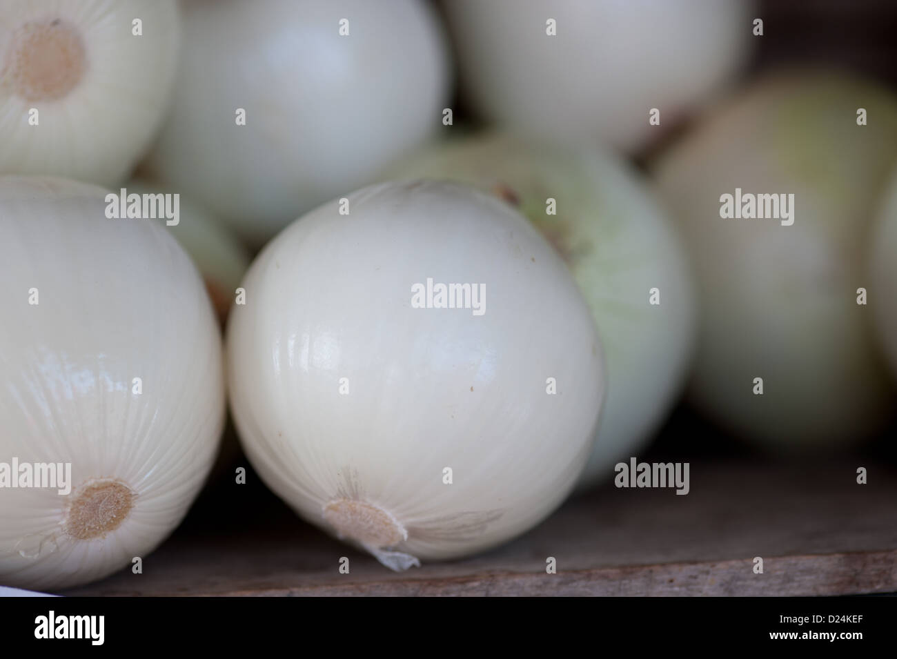 Farmers market onions hi-res stock photography and images - Alamy
