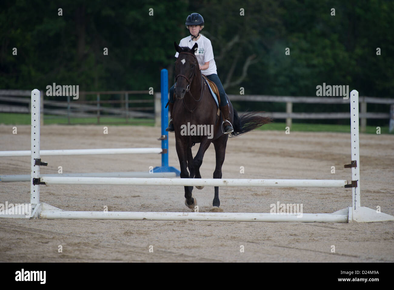 Girl practicing riding a horse through obstacle course Stock Photo