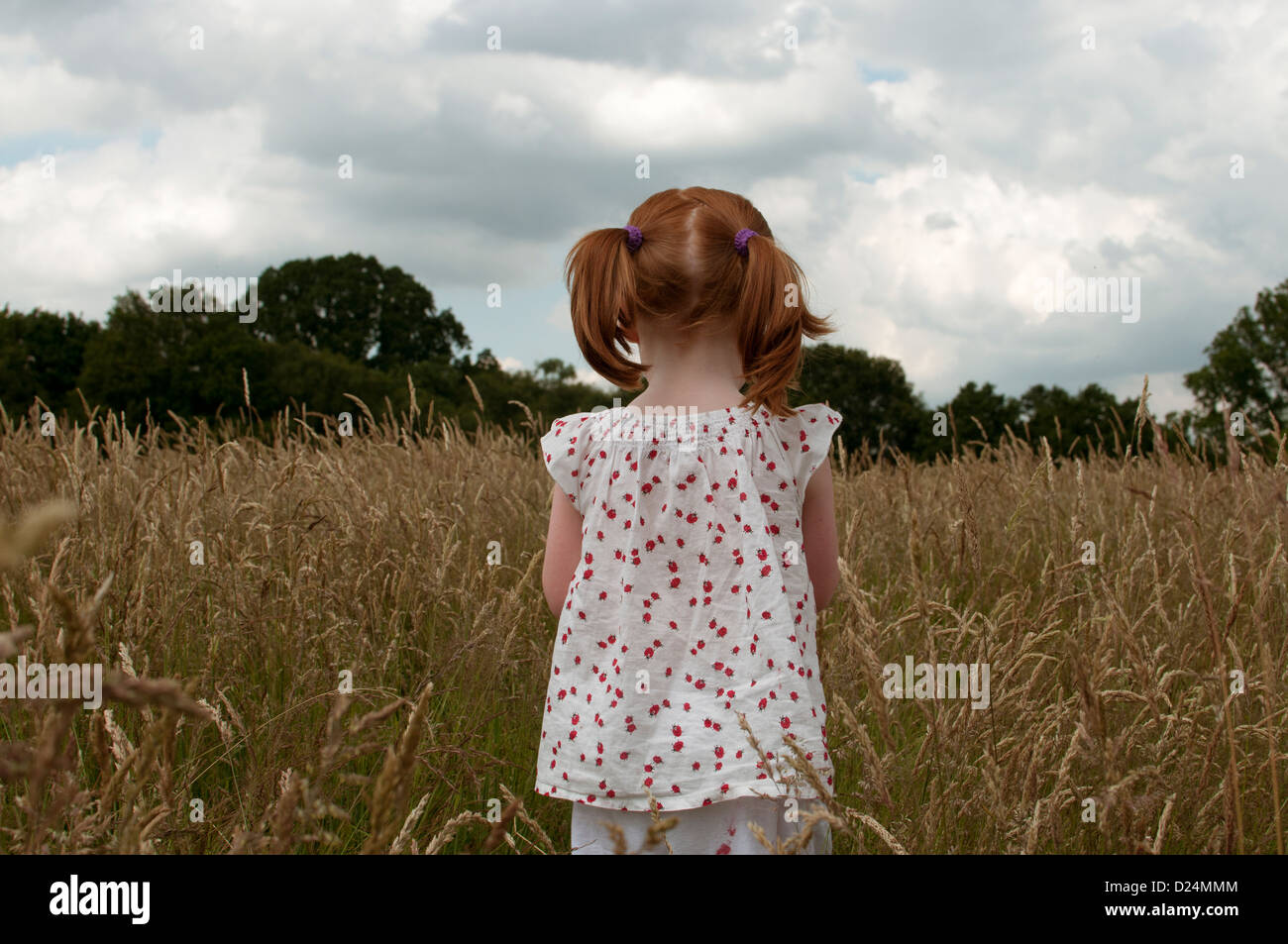 A little girl standing in a field, rear view Stock Photo Alamy