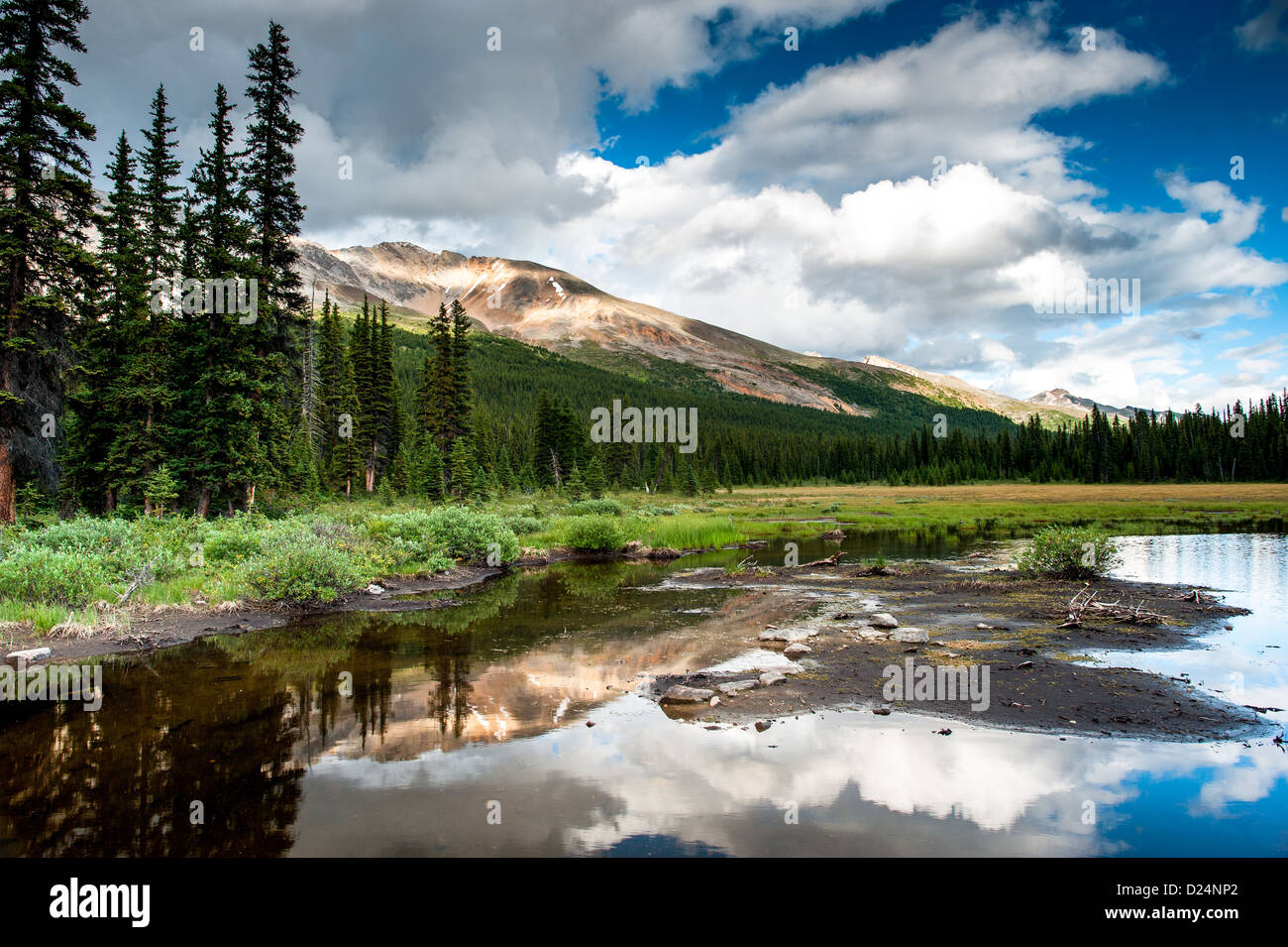 Mountain panorama with small lake at the icefield parkway in Banff national park, Alberta, Canada Stock Photo