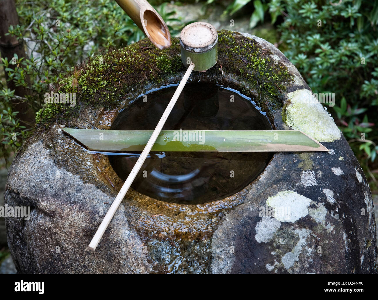 An old stone tsukubai or water basin for ritual washing or purification, in the gardens of the zen Buddhist temple of Daichi-ji, Minakuchi, Japan Stock Photo