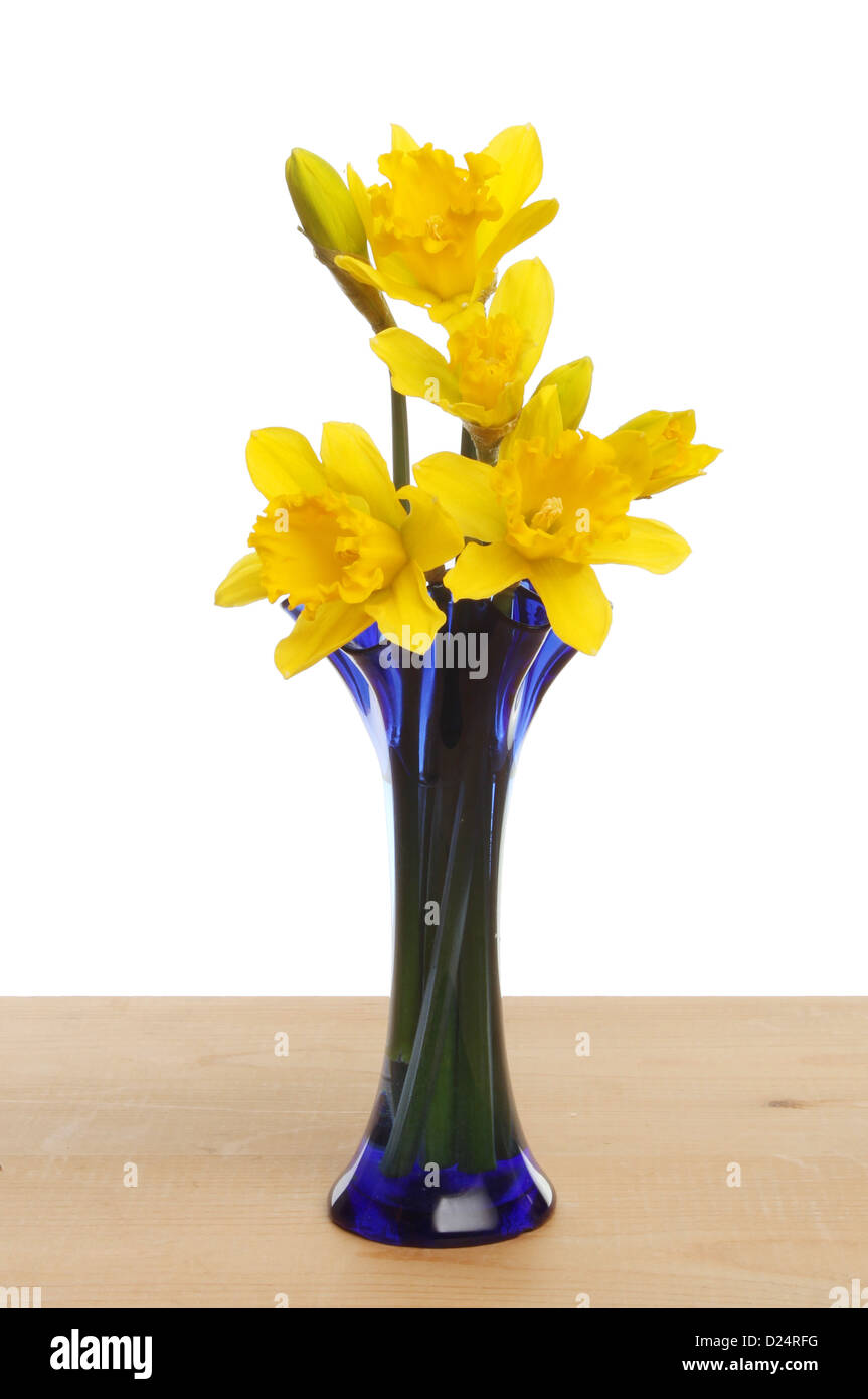 Daffodil flowers in a blue glass vase on a wooden table against a white