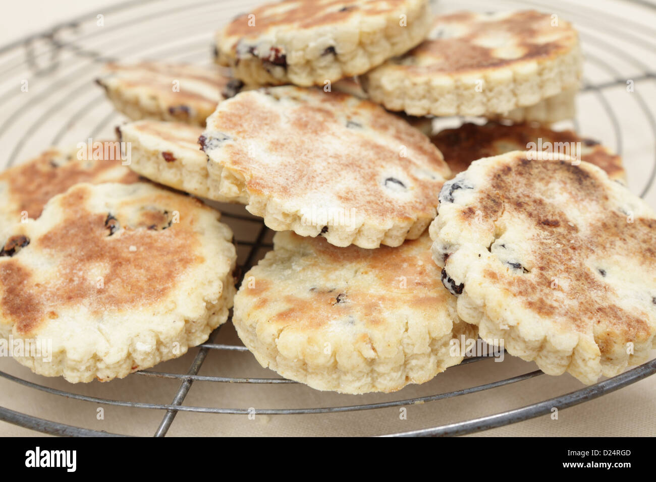 Newly home-made Welsh cakes cooking on a wire rack Stock Photo