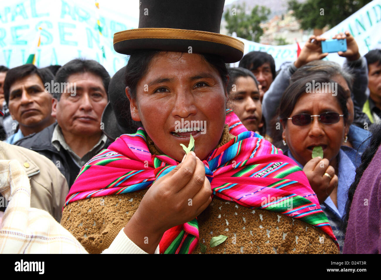 LA PAZ, BOLIVIA, 14th January. Coca growers chew leaves to celebrate Bolivia rejoining the 1961 UN Single Convention on Narcotic Drugs. Stock Photo