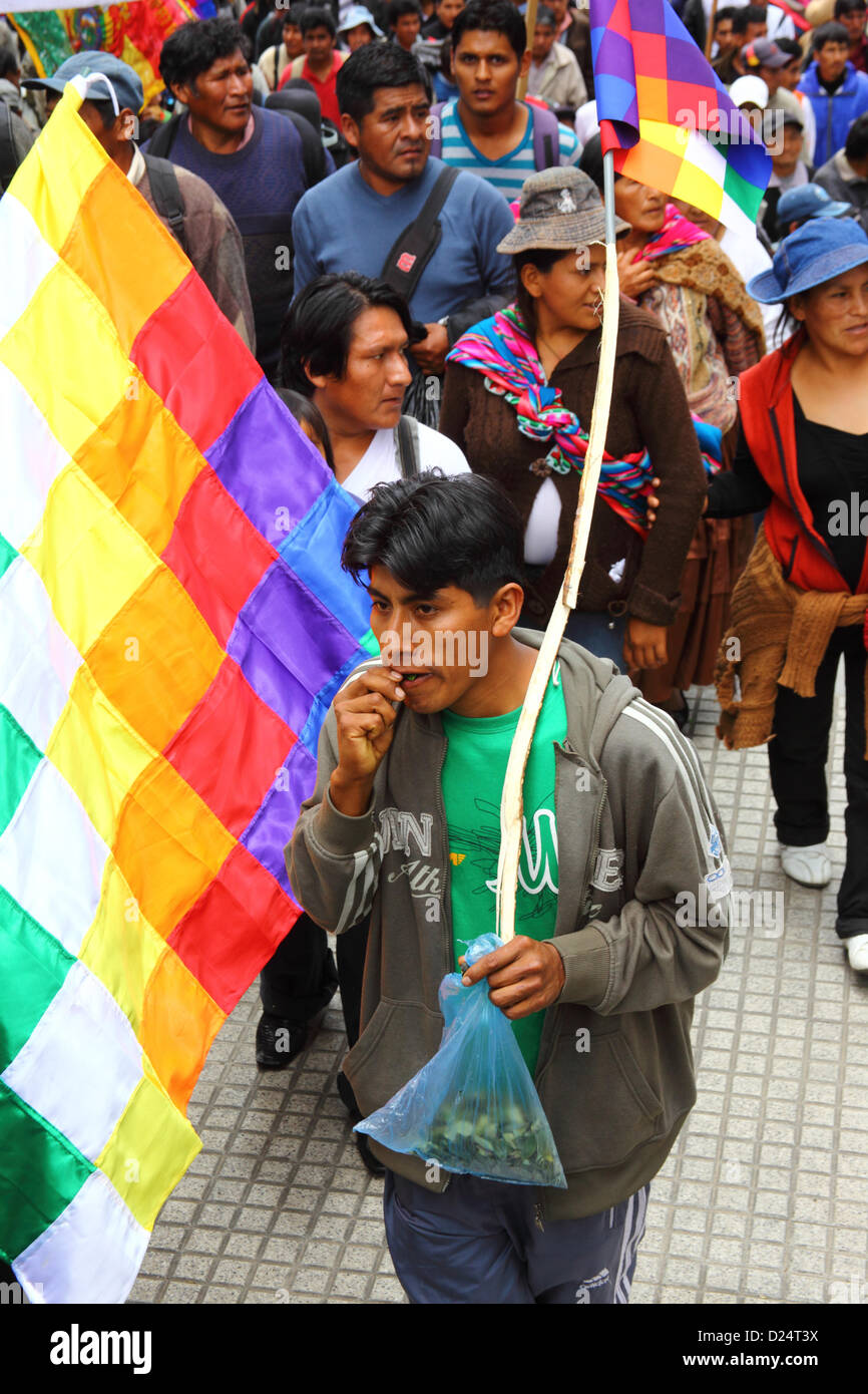 LA PAZ, BOLIVIA, 14th January. A coca grower chews leaves while taking part in a march to celebrate Bolivia rejoining the 1961 UN Single Convention on Narcotic Drugs. Stock Photo