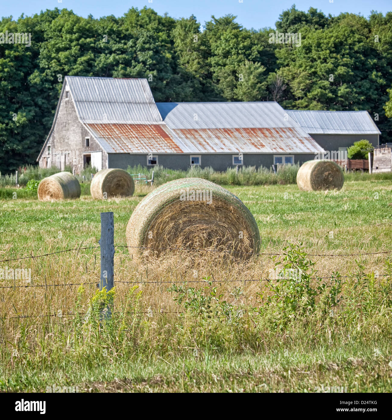 Hay Bales Around A Rustic Barn With A Steel Roof Stock Photo