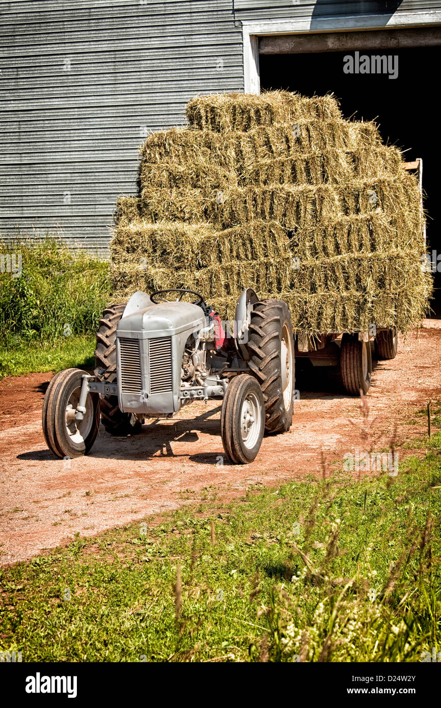 Vintage tractor hauling a wagon load of hay bales Stock Photo Alamy