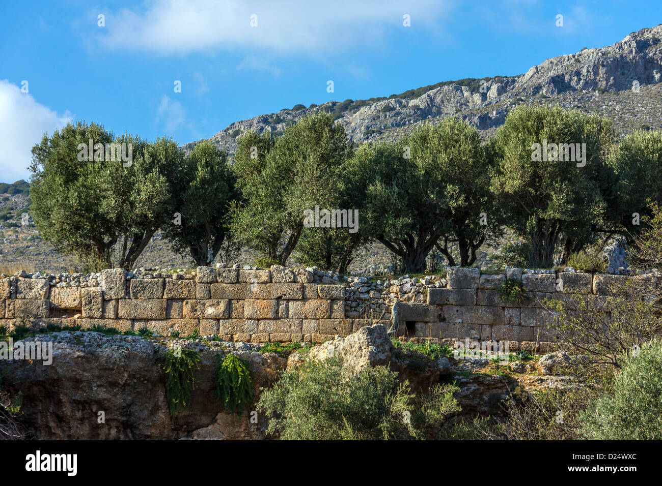 Ancient walls and olive trees, Vathy, Kalymnos, Greece Stock Photo