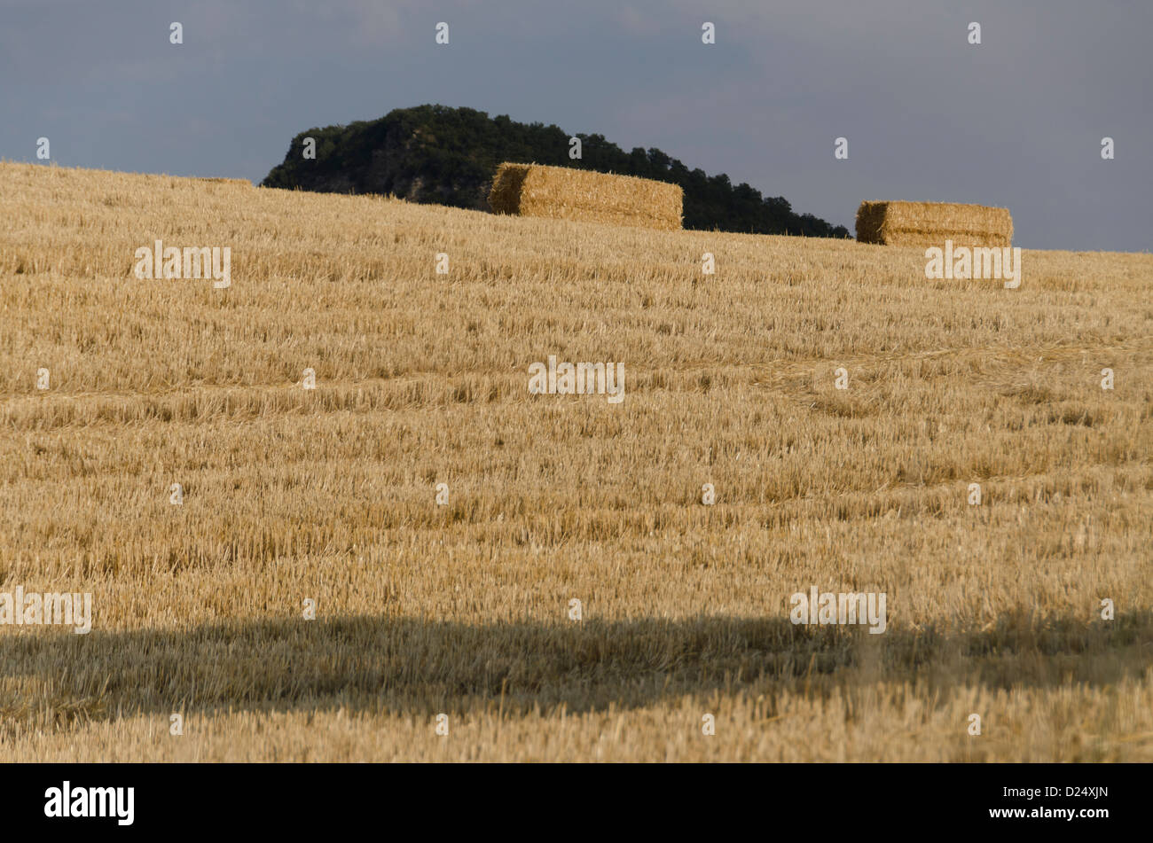 Ardanaz landscape. Izagaondoa valley, Navarre, Spain Stock Photo