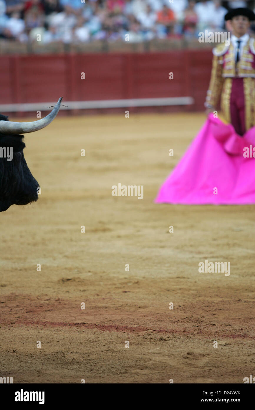 Seville, Spain, a matador waits with the cloth on the bull in the Real Maestranza Stock Photo