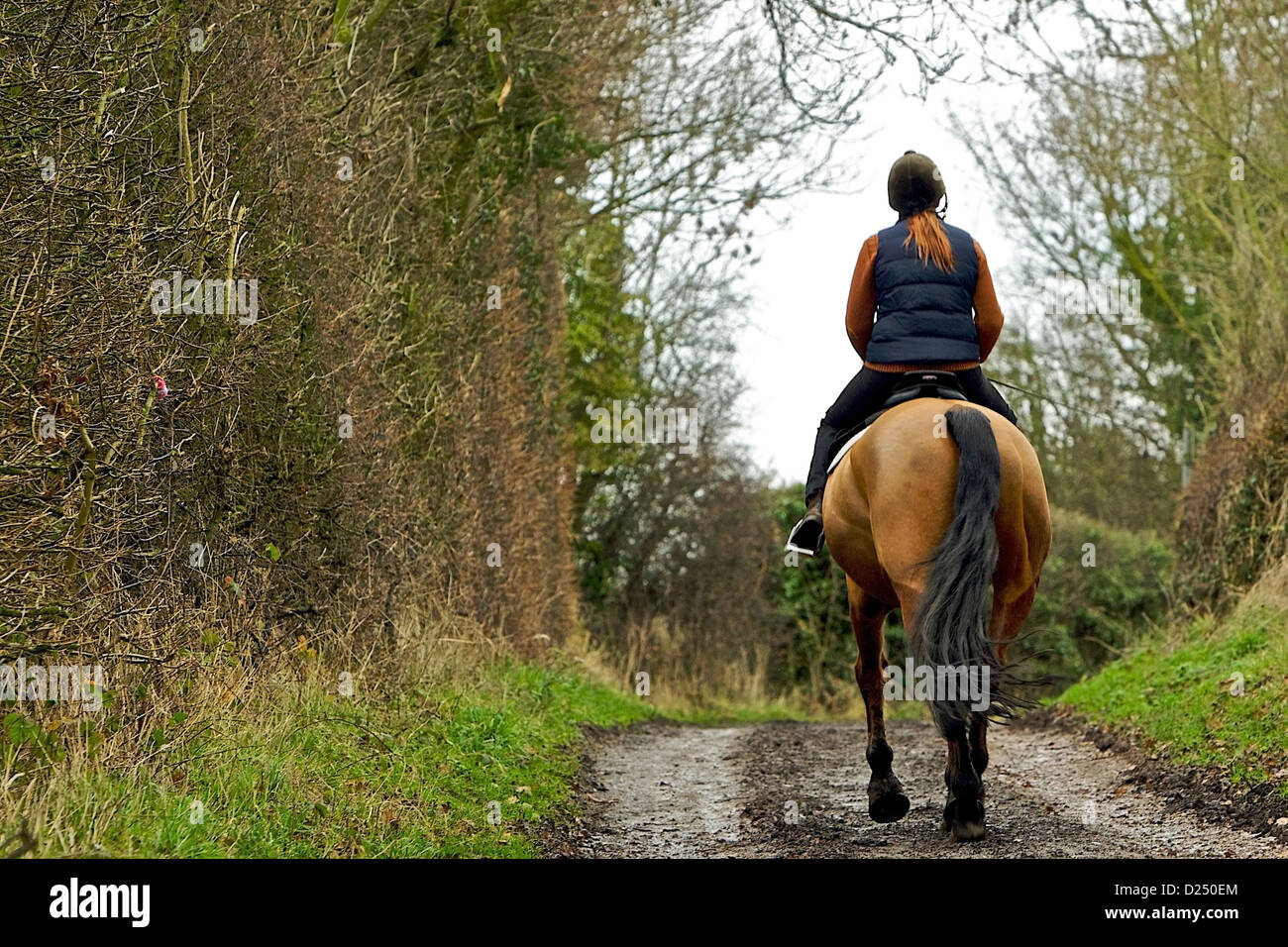 Trot lane hi-res stock photography and images - Alamy