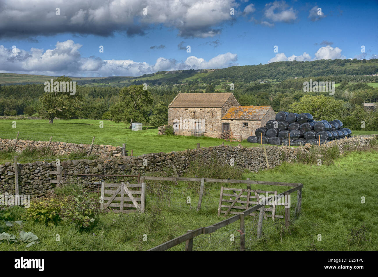 View of pasture, drystone walls, stone field barn and large black bales of silage, Leyburn, North Yorkshire, England, August Stock Photo