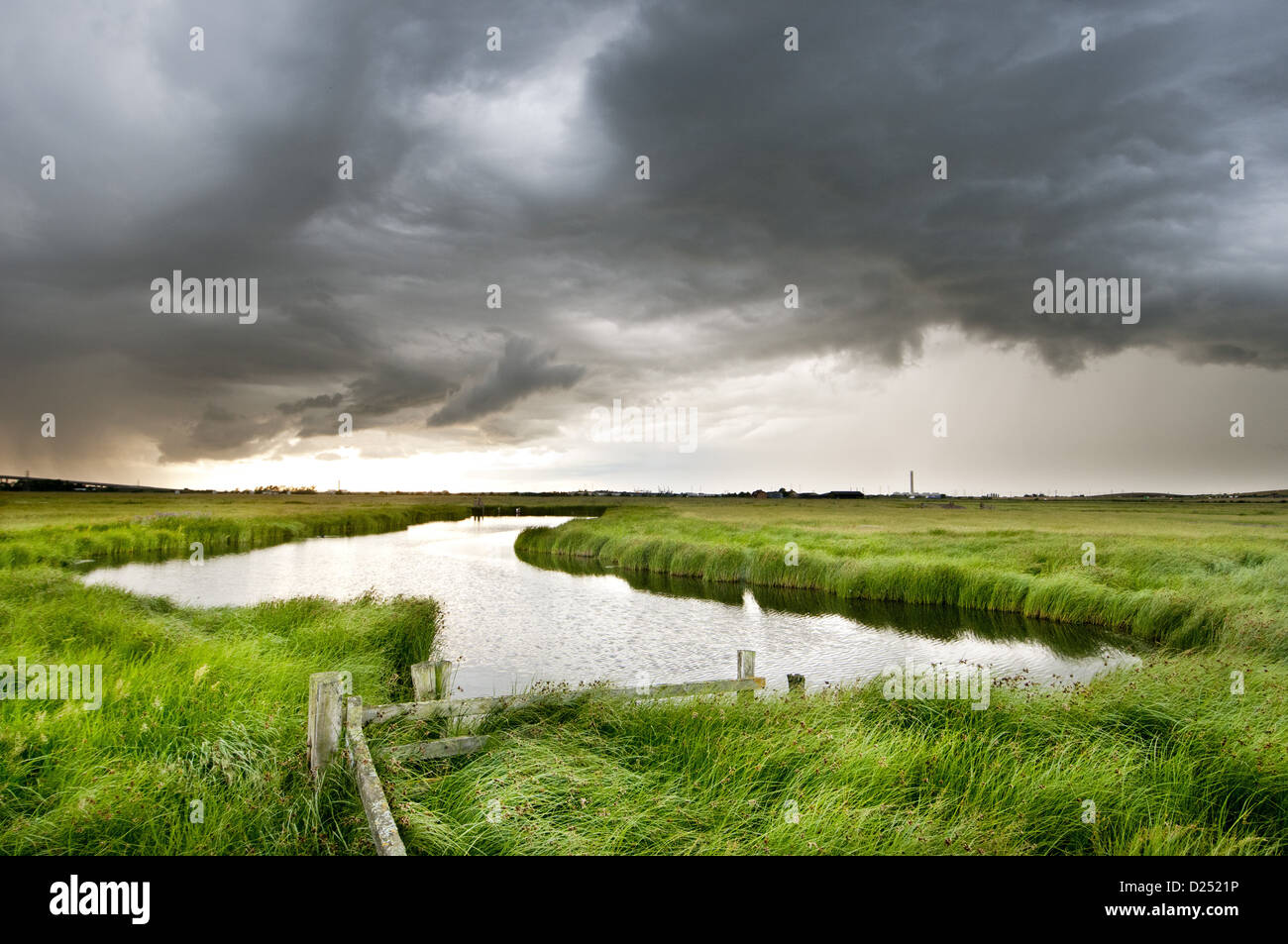 Marsh pool hi-res stock photography and images - Alamy