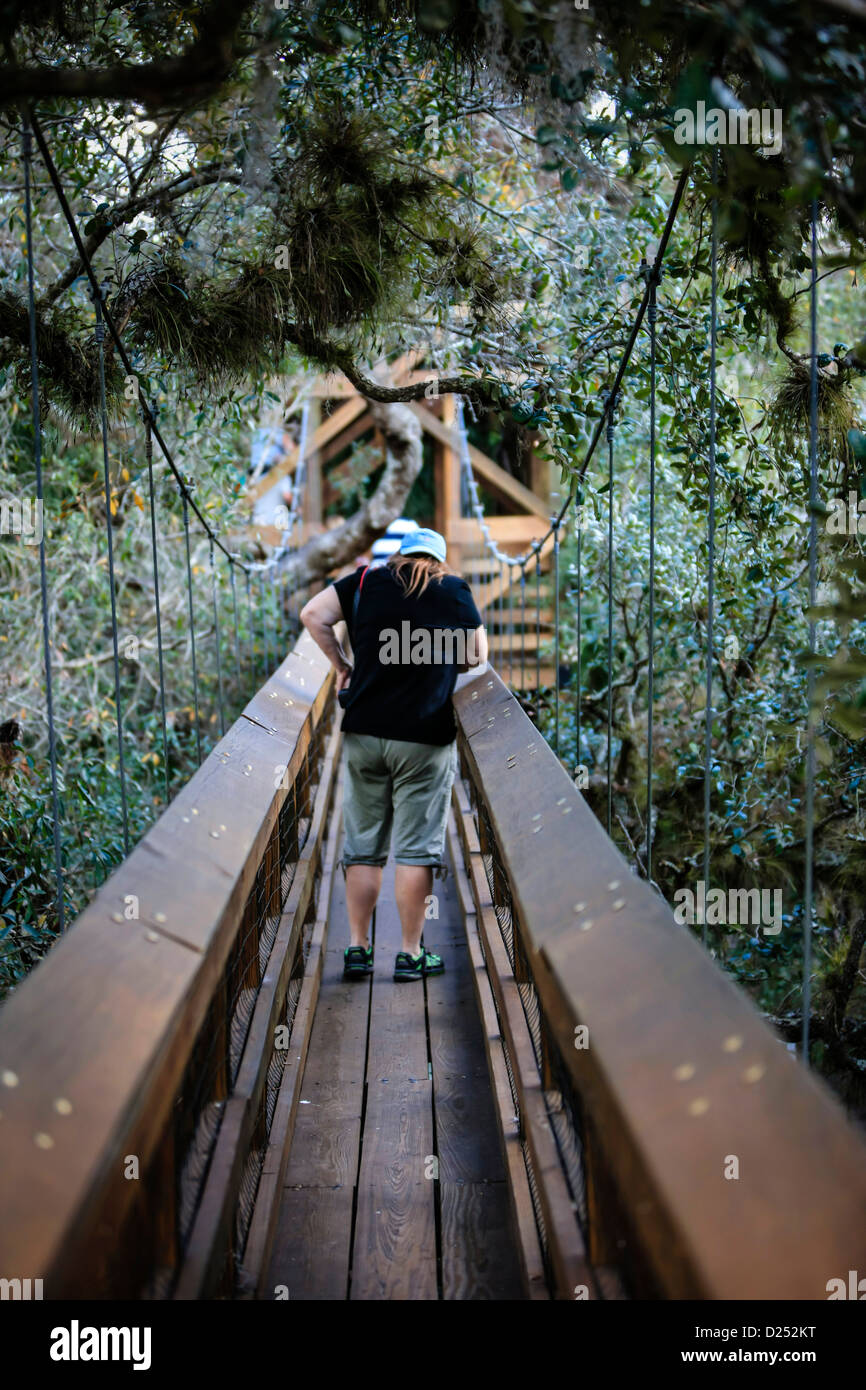 A female takes her time walking across a swinging rope bridge in Myakka
