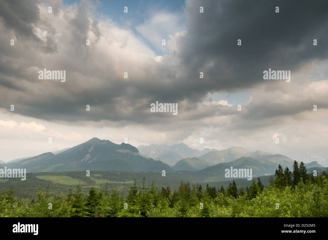 View of clouds over coniferous montane forest habitat at sunset, Tatra Mountains, Western Carpathians, Poland, June Stock Photo