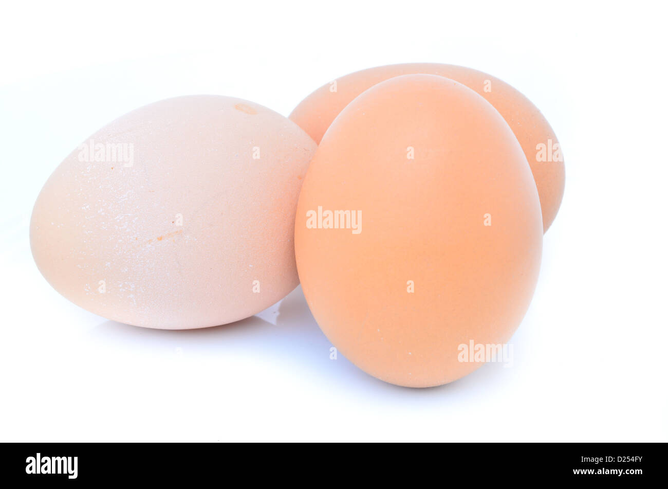 Egg Stock Photo
