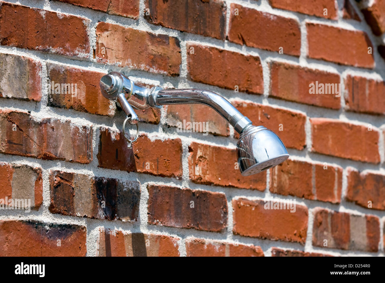 Outdoor shower head installed on a brick wall Stock Photo Alamy