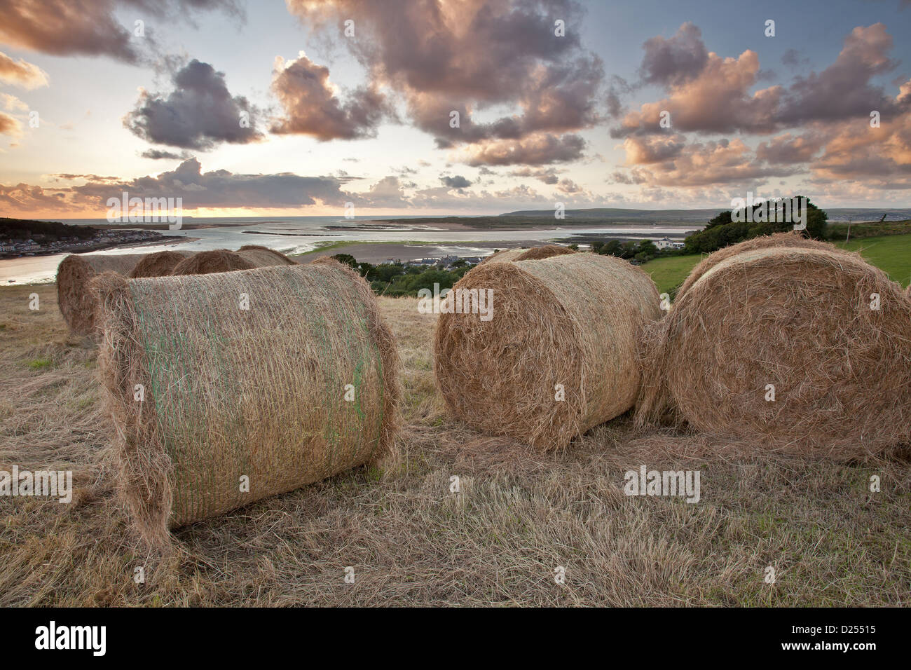 Big round hay bales in coastal meadow at sunset, overlooking Instow and