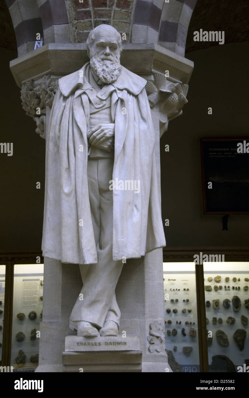 Statue of Charles Darwin, Oxford University Museum of Natural History, Oxford, Oxfordshire