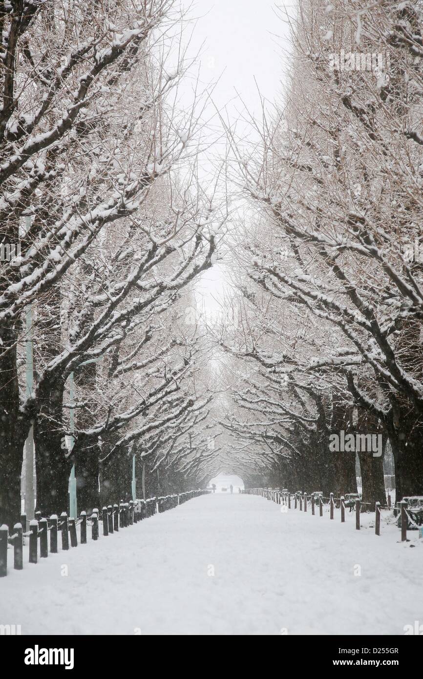 Snowstorm in Tokyo disrupts road, rail and air transport