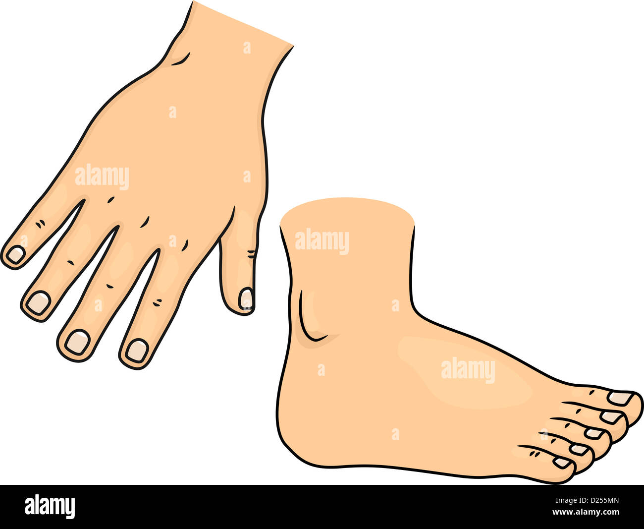 Cartoon illustration foot hi-res stock photography and images - Alamy Cartoon illustration foot hi-res stock photography and images - Alamy