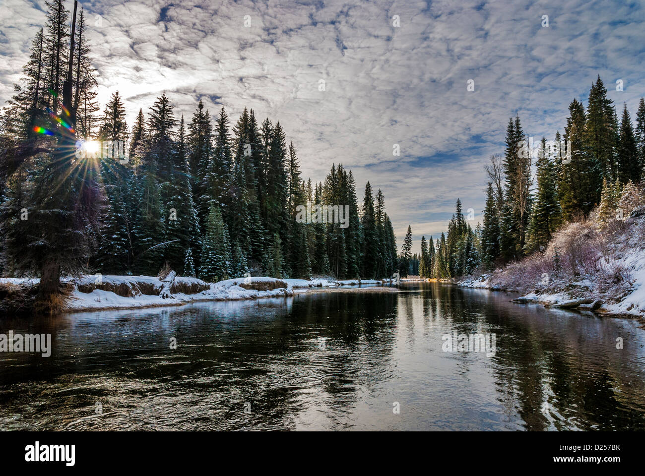 Winter forest with a river running through it and sun rays Stock Photo ...