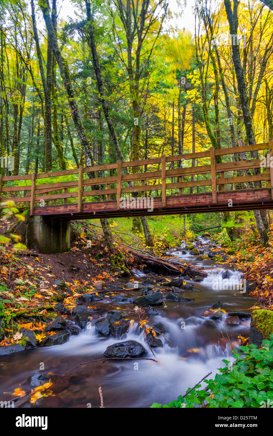 Small Forest Bridge Small bridge through river hi-res stock photography and images - Alamy