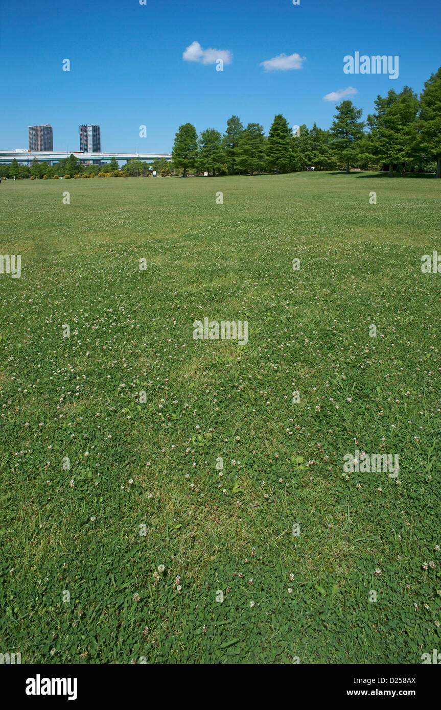 Urban park and blue sky with clouds Stock Photo - Alamy