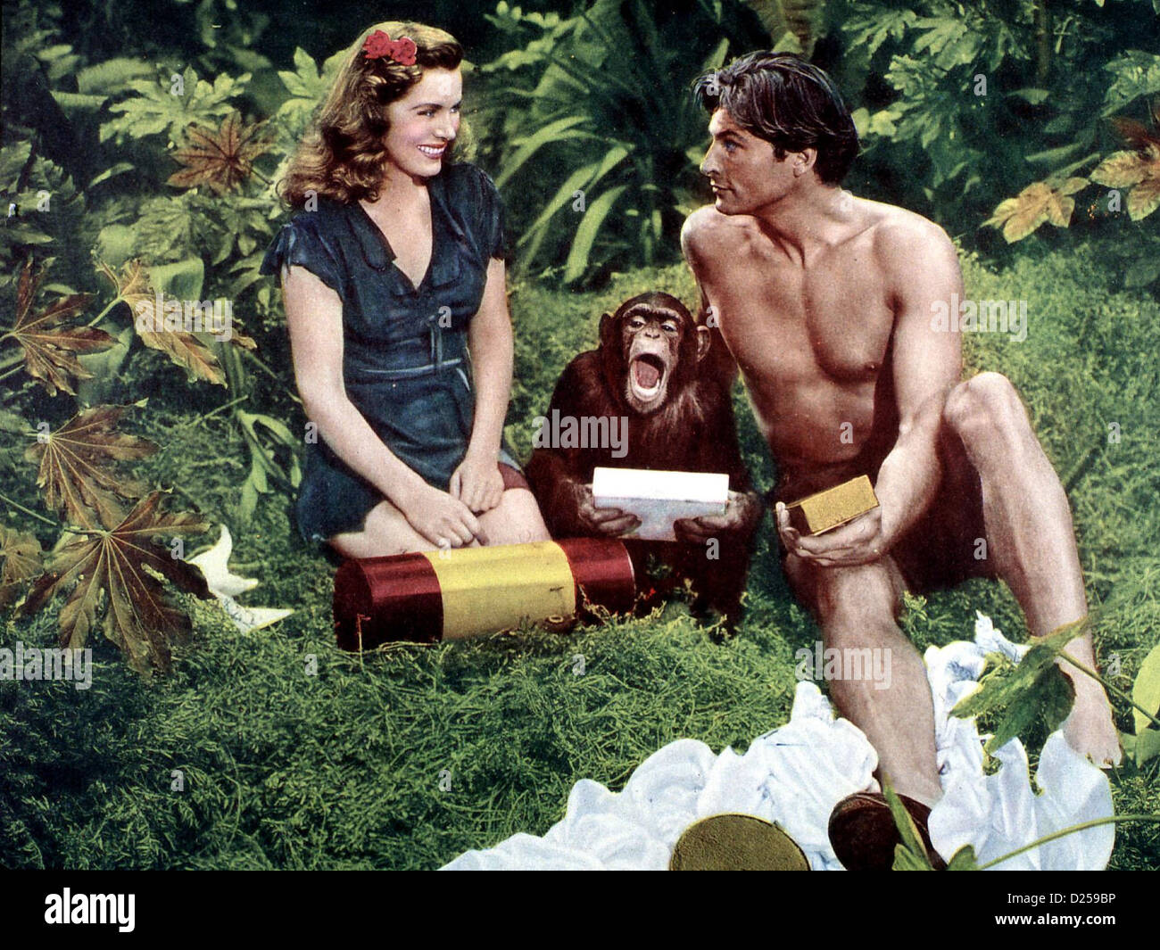 Tarzan und das blaue tal hires stock photography and images Alamy