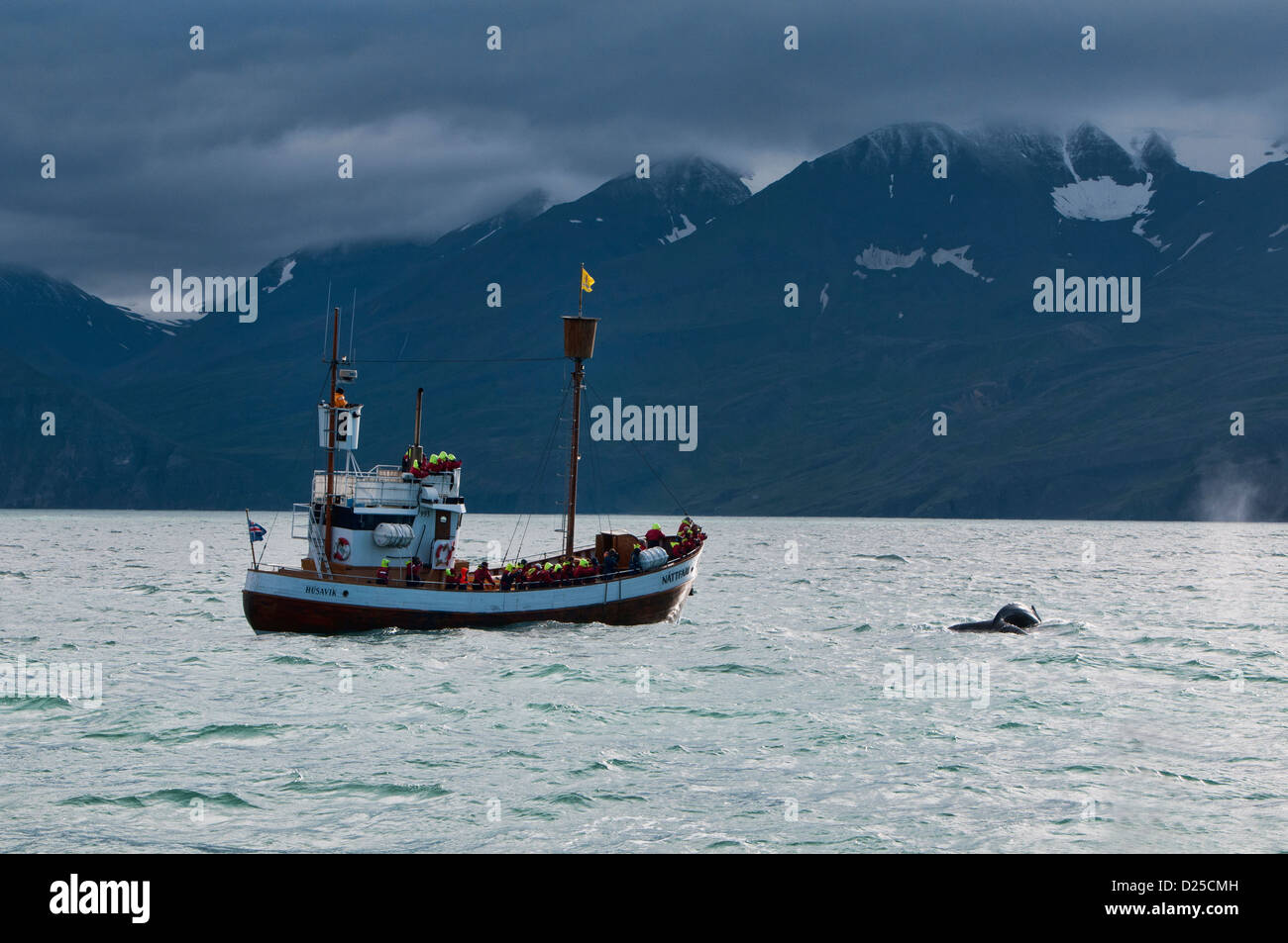 whale watching boat in Husavik, Iceland Stock Photo - Alamy