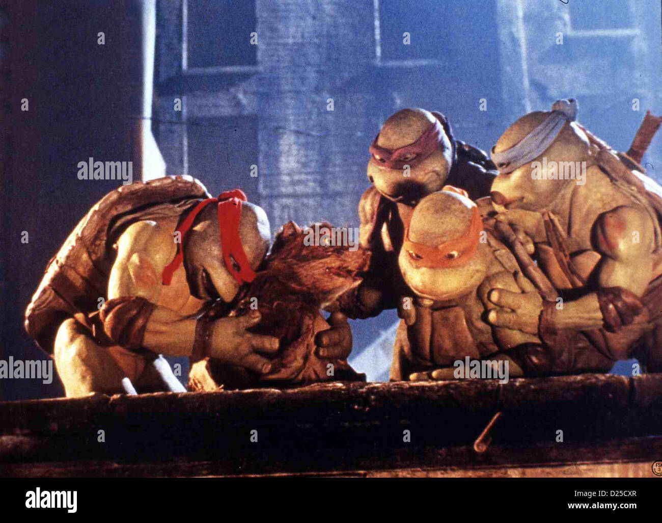 Turtles  Teenage Mutant Ninja Turtles  Vier Schilkroeten, die zu menschlicher Groesse mutiert sind, nehmen in New York den Stock Photo