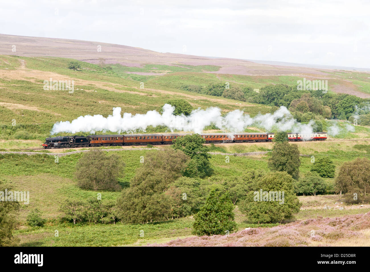 Steam locomotive pulling a passenger train on the North Yorkshire Moors Railway  near Goathland Stock Photo