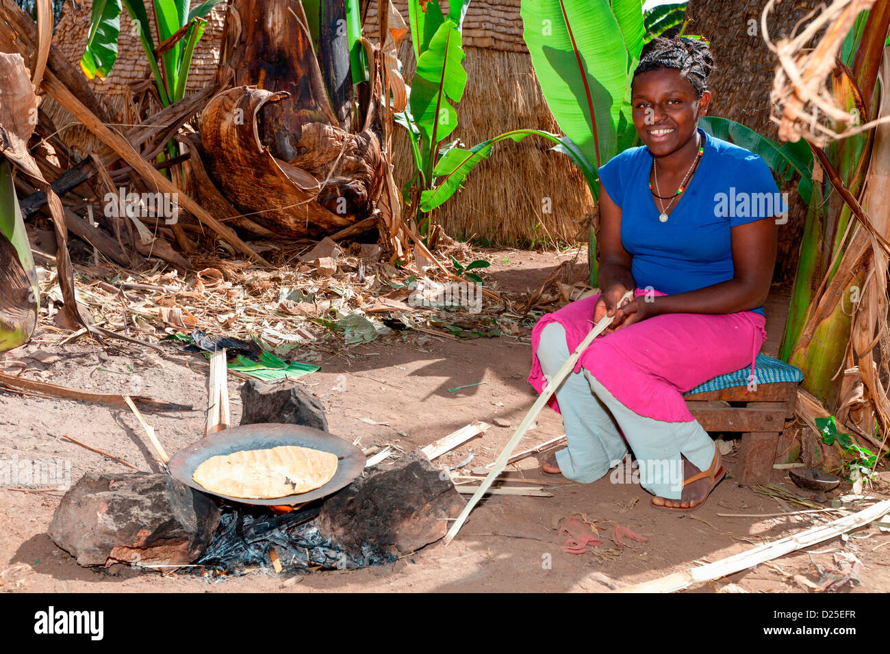 Enset hires stock photography and images Alamy