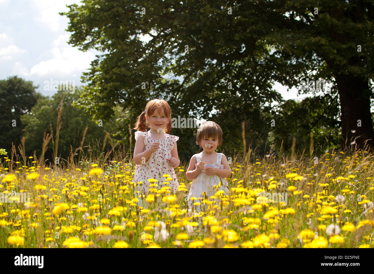 Two little girls standing in a wild flower meadow, holding dandelion clocks Stock Photo