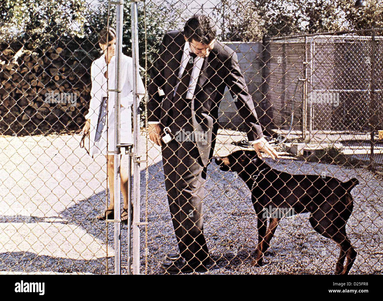 Die Spur Der Schwarzen Bestie They Only Kill Their Masters Katharine