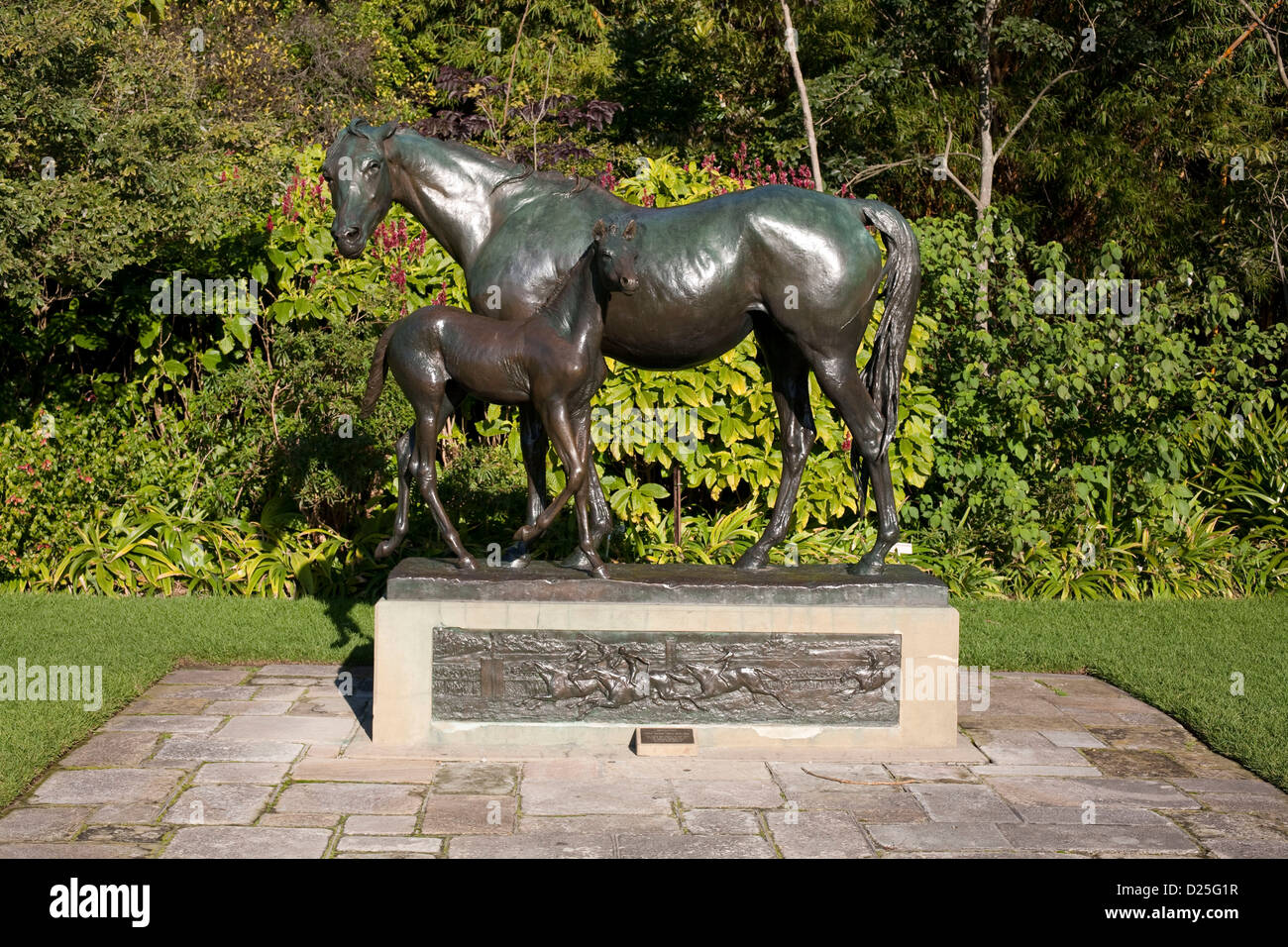 Mare and Foal A Bronze sculpture in the Royal Botanical Gardens Sydney Australia Stock Photo