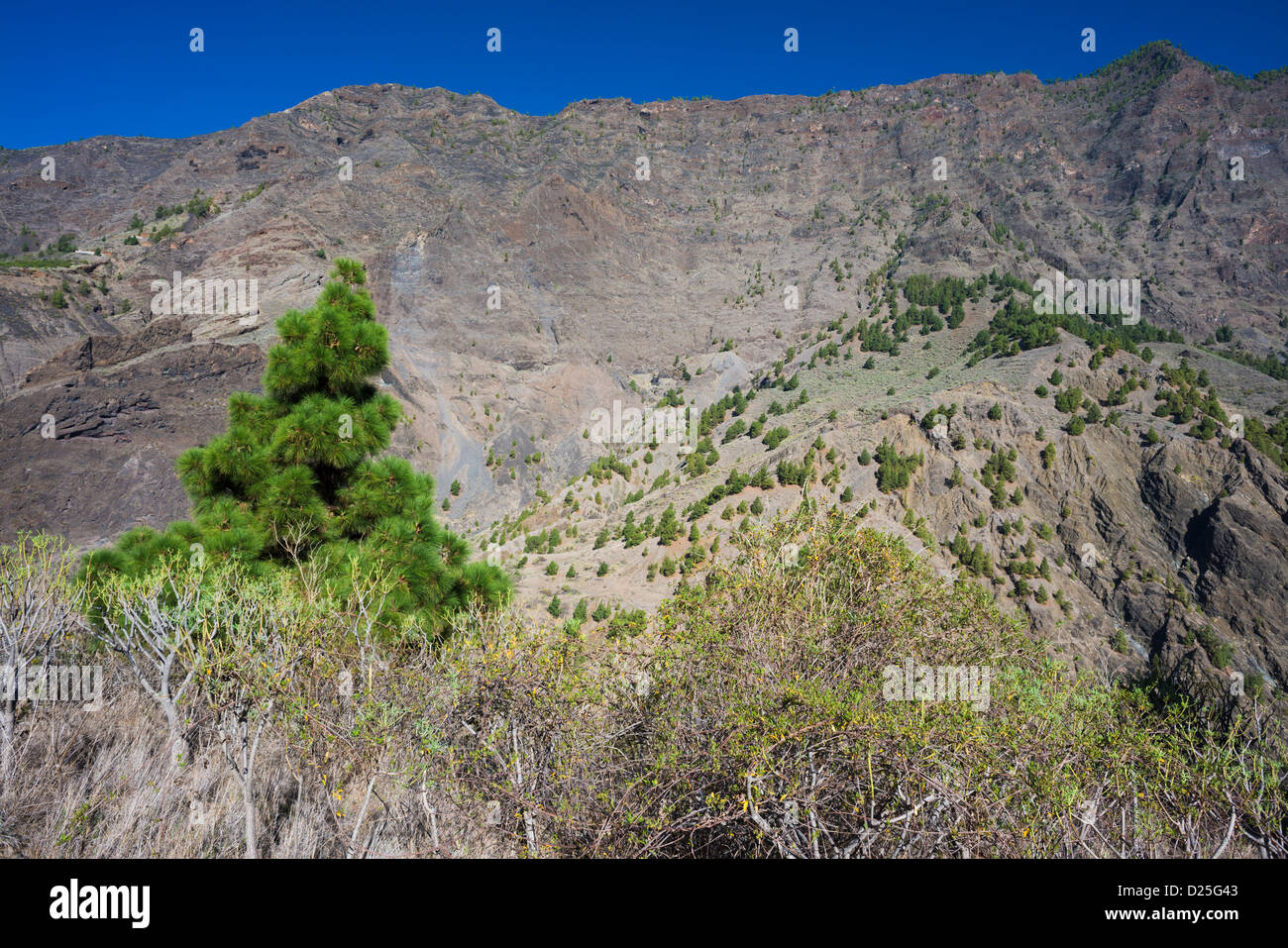 Section of huge cliif on northern side of the gigantic gorge of Barranco de las Angustias, La Palma, Canary Islands, Spain Stock Photo
