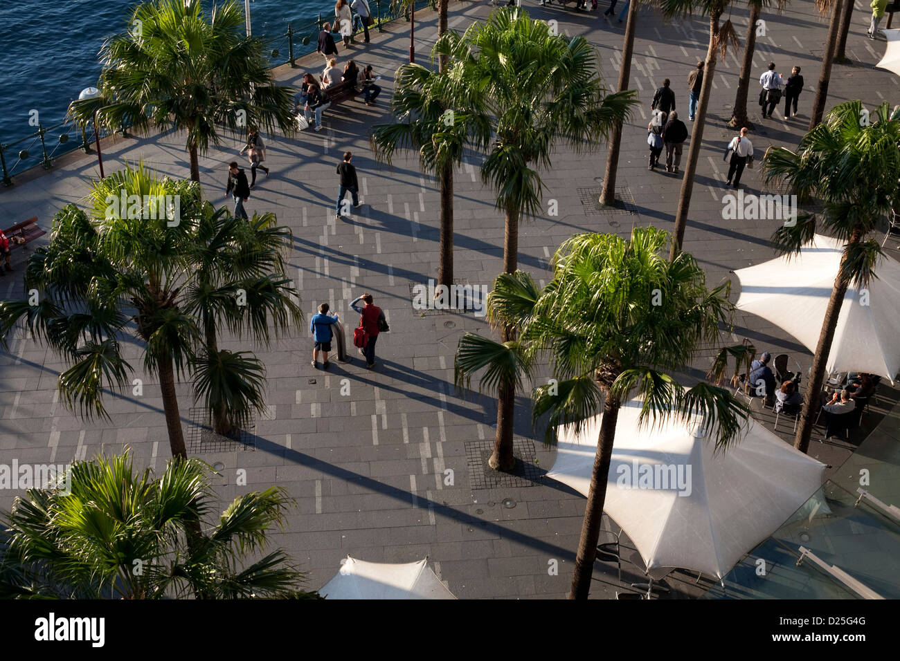 Tourists walking along the promenade underneath palm trees at Circular Quay Sydney Australia Stock Photo