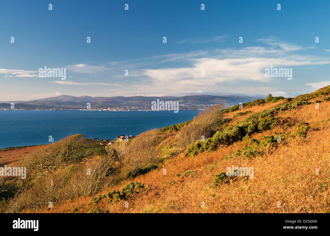 Autumn morning on Howth Head overlooking Dublin Bay and the Wicklow Mountains in the distance Stock Photo