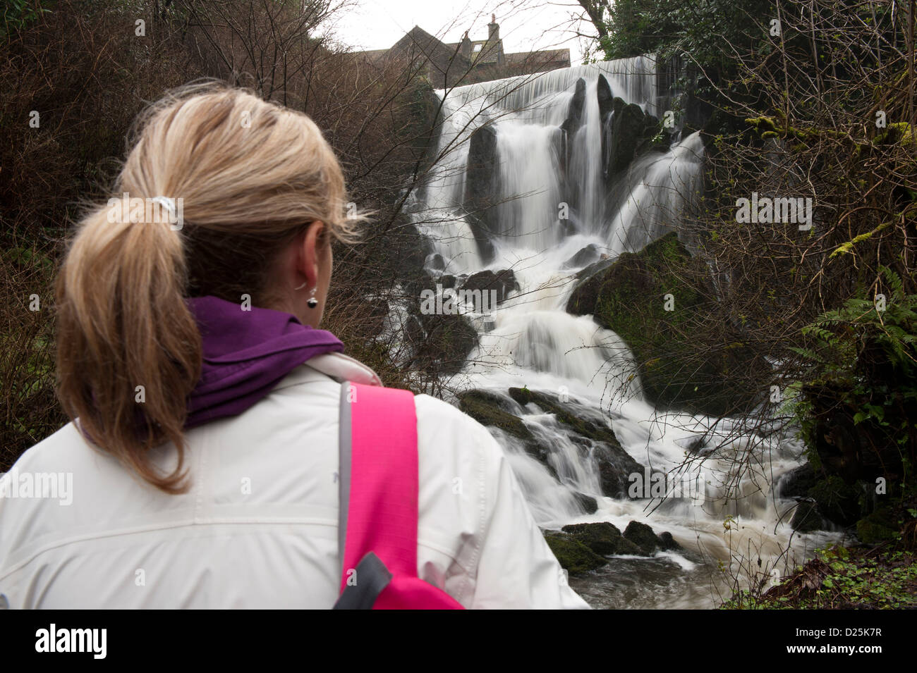 Woman standing with back to camera looking at waterfall in Crawfordsburn country Park, County Down Northern Ireland Stock Photo