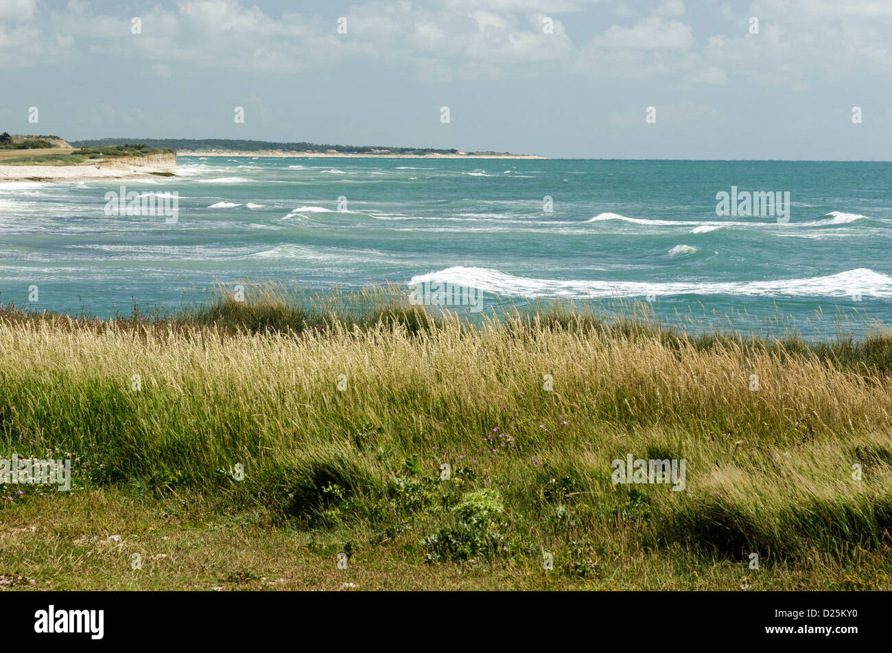 Marine landscape, Point of Chassiron, Oleron Island, Charente-Maritime ...