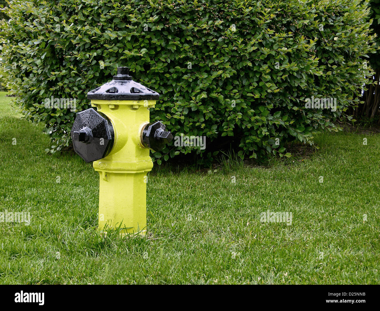Fire Hydrant Stock Photo