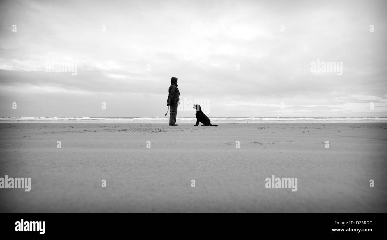 A woman and her dog on the beach at Saltburn in Cleveland. Stock Photo